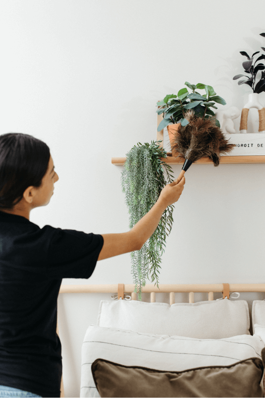 Apartment and Condo Cleaning: